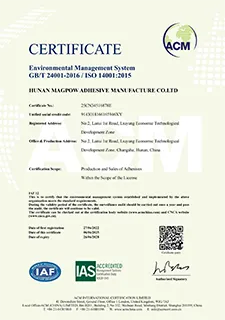 Certificate 1